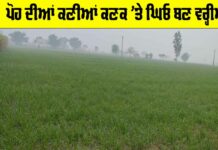 Weather Punjab