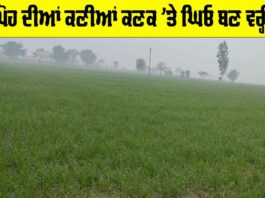 Weather Punjab