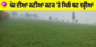 Weather Punjab