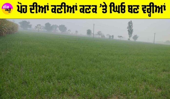 Weather Punjab