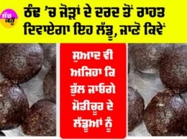 Winter Special Laddu