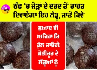 Winter Special Laddu