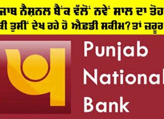 Punjab National Bank FD