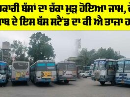 Punjab Roadways Strike