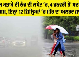 Rain in Punjab