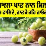 Amla Benefits