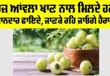 Amla Benefits