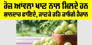 Amla Benefits