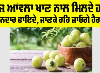 Amla Benefits