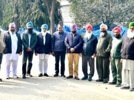 Amloh News