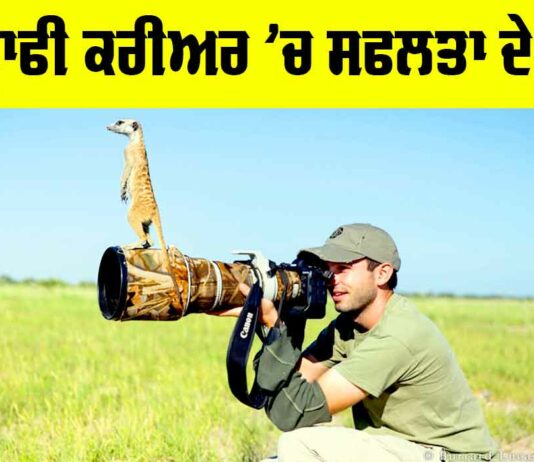 Career News