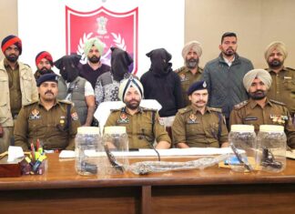 Patiala Crime News