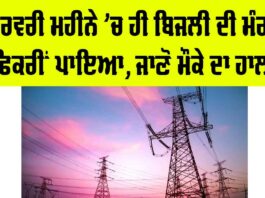 Punjab Electricity News