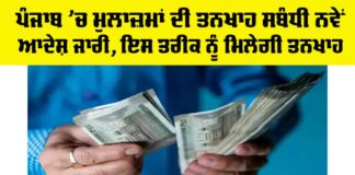 Punjab Employee Salary