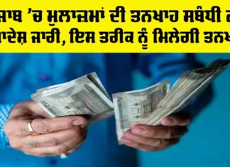 Punjab Employee Salary