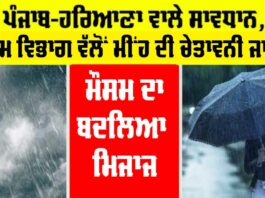 Punjab Rain