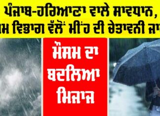 Punjab Rain