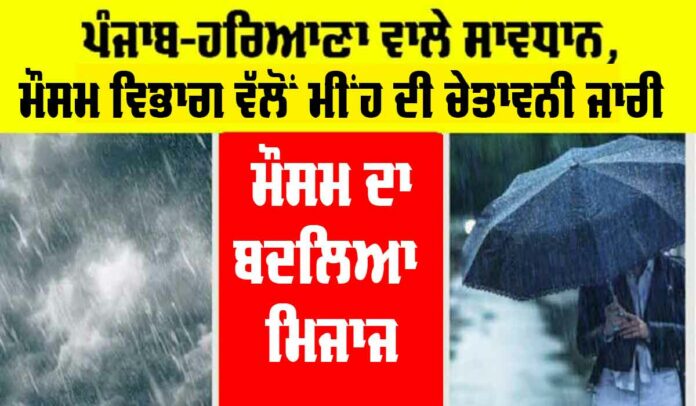 Punjab Rain