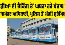 Punjab Transport News