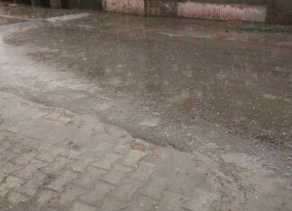 Rain in Punjab