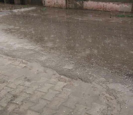 Rain in Punjab