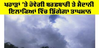 Punjab Weather News