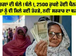 Delhi-Budget-2025