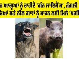 Farmer Leaders Punjab