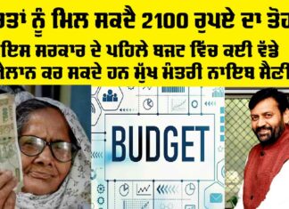 Haryana Budget