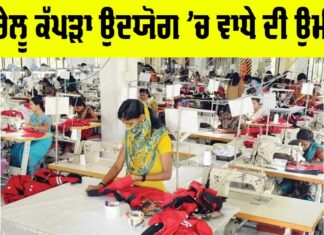 Indian Textile Industry