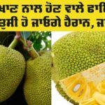 Jackfruit Health Benefits