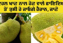 Jackfruit Health Benefits