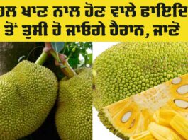 Jackfruit Health Benefits