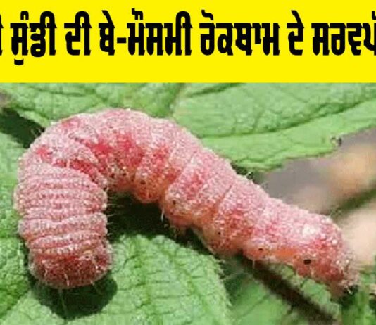 Kisan News