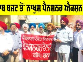 Pensioner Punjab