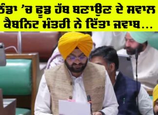 Punjab Budget Session