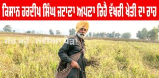 Punjab Farmer News