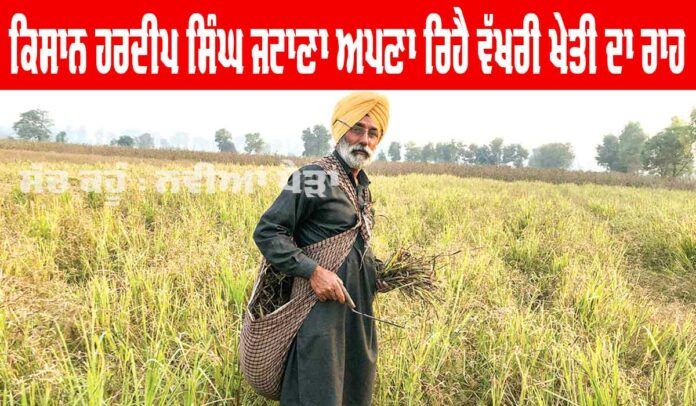 Punjab Farmer News