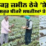 Punjab Farmers News