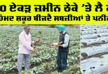 Punjab Farmers News