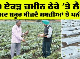 Punjab Farmers News