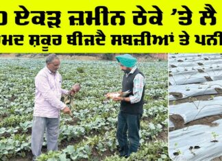 Punjab Farmers News