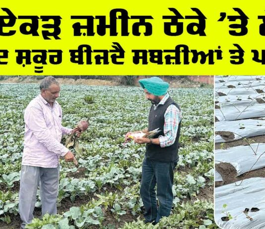 Punjab Farmers News