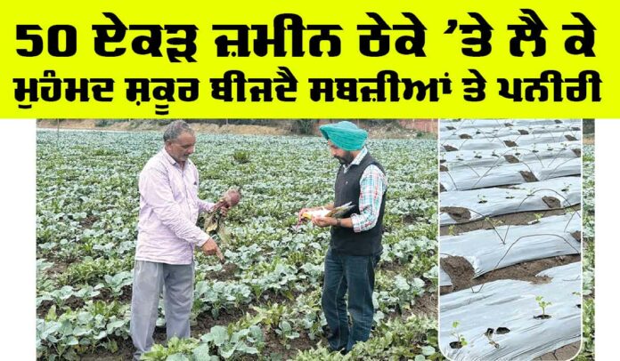 Punjab Farmers News