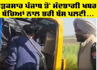 Punjab Accident News