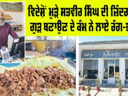 Sangrur News