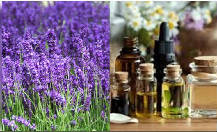 Benefits of Aromatherapy