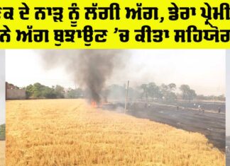 Barnala In Fire