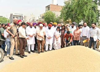 Bathinda Grain Market