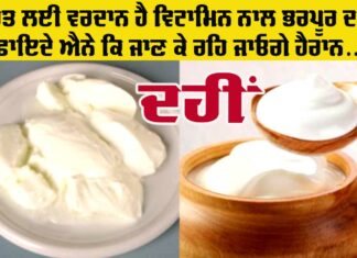 Benefits Of Curd